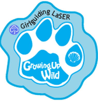 Girlguiding LaSER Growing Up Wild In The Woods Badge Guides Sew On Camp blankets 